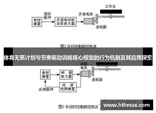 体育无氧计划与节奏驱动训练核心模型的行为机制及其应用探索