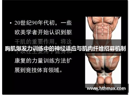 胸肌爆发力训练中的神经适应与肌肉纤维招募机制